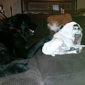 Meet your Posher, Lisa